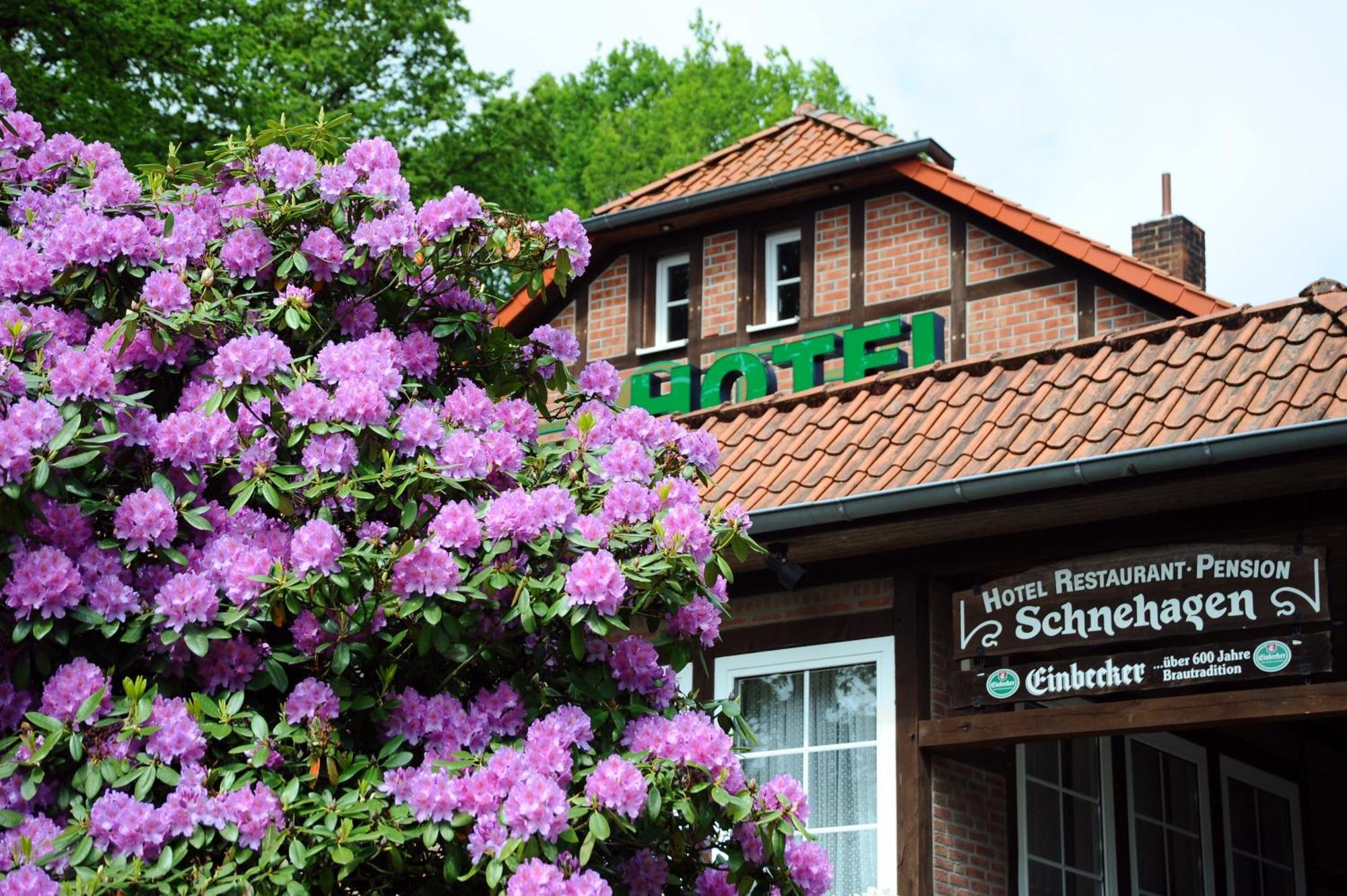Hotel Schnehagen Bad Fallingbostel Bagian luar foto